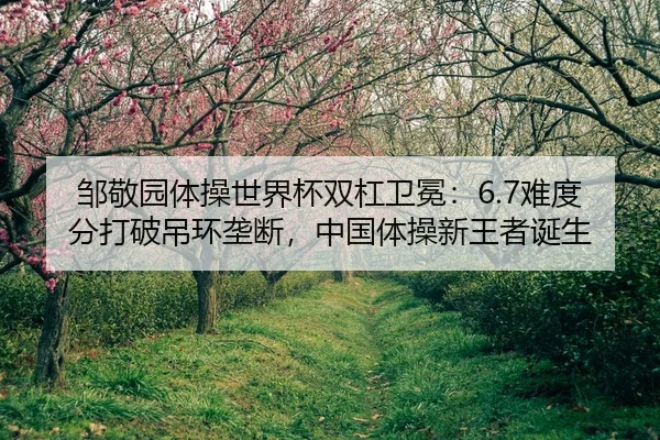 zou-jing-yuan-ti-cao-shi-jie-bei-shuang-gang-wei-mian-nan-du-fen-da-po-diao-huan-long-duan-zhong-guo-ti-cao-xin-wang-2-503.jpg